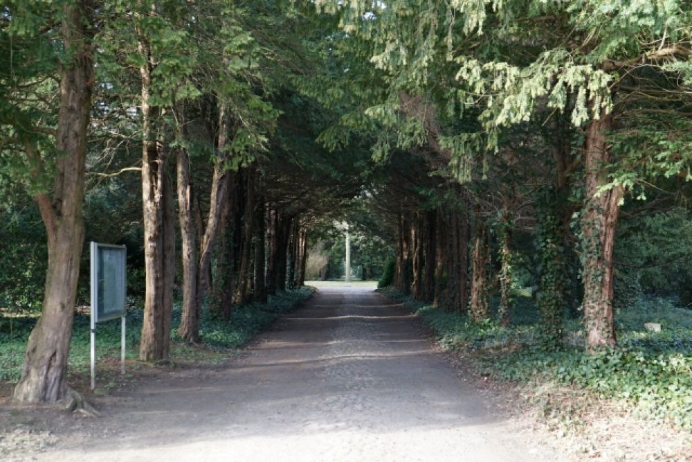 Galerie Alter Friedhof Greifswald Bestattungshaus Torben Harms Greifswald